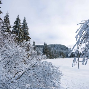 Rando Lac de Guéry fév 2023 by @NataFranceAuvergne-3272